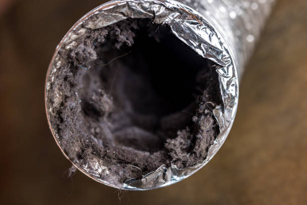 Best HVAC Maintenance and Cleaning  in Cave Creek, AZ