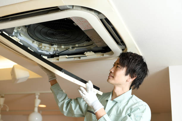 Best Home Air Vent Cleaning  in Cave Creek, AZ