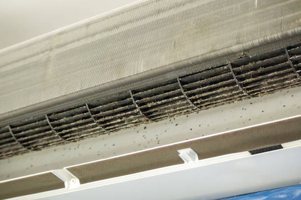 Best Duct Cleaning for Homes  in Cave Creek, AZ